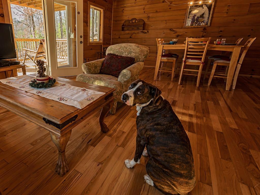 Готель Log Cabin In Smoky Mountains Сев'єрвілл Екстер'єр фото