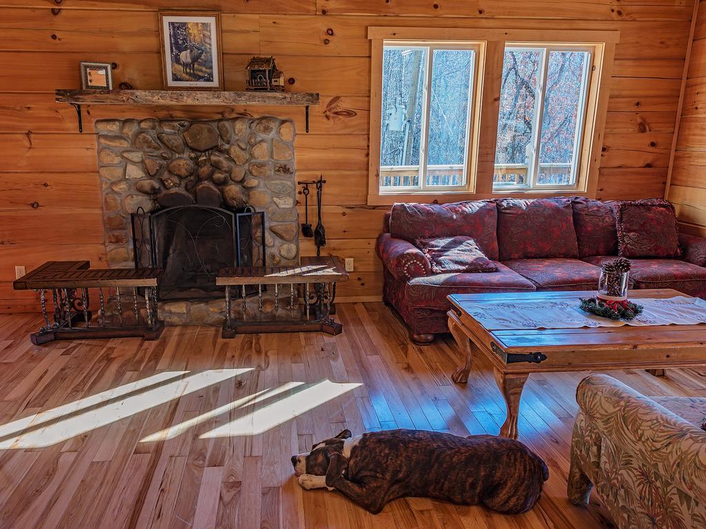 Готель Log Cabin In Smoky Mountains Сев'єрвілл Номер фото